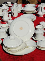 硅元國(guó)瓷 再度進(jìn)京