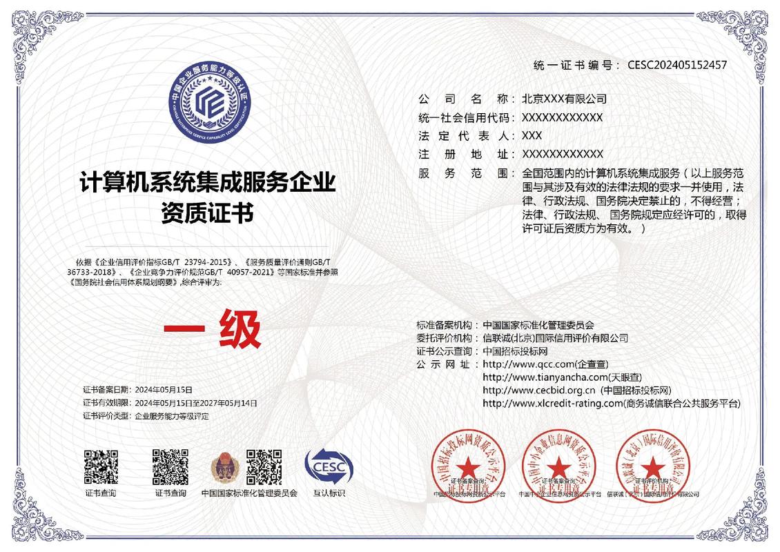 計算機系統集成服務一級證書 行業競爭力的關鍵認證